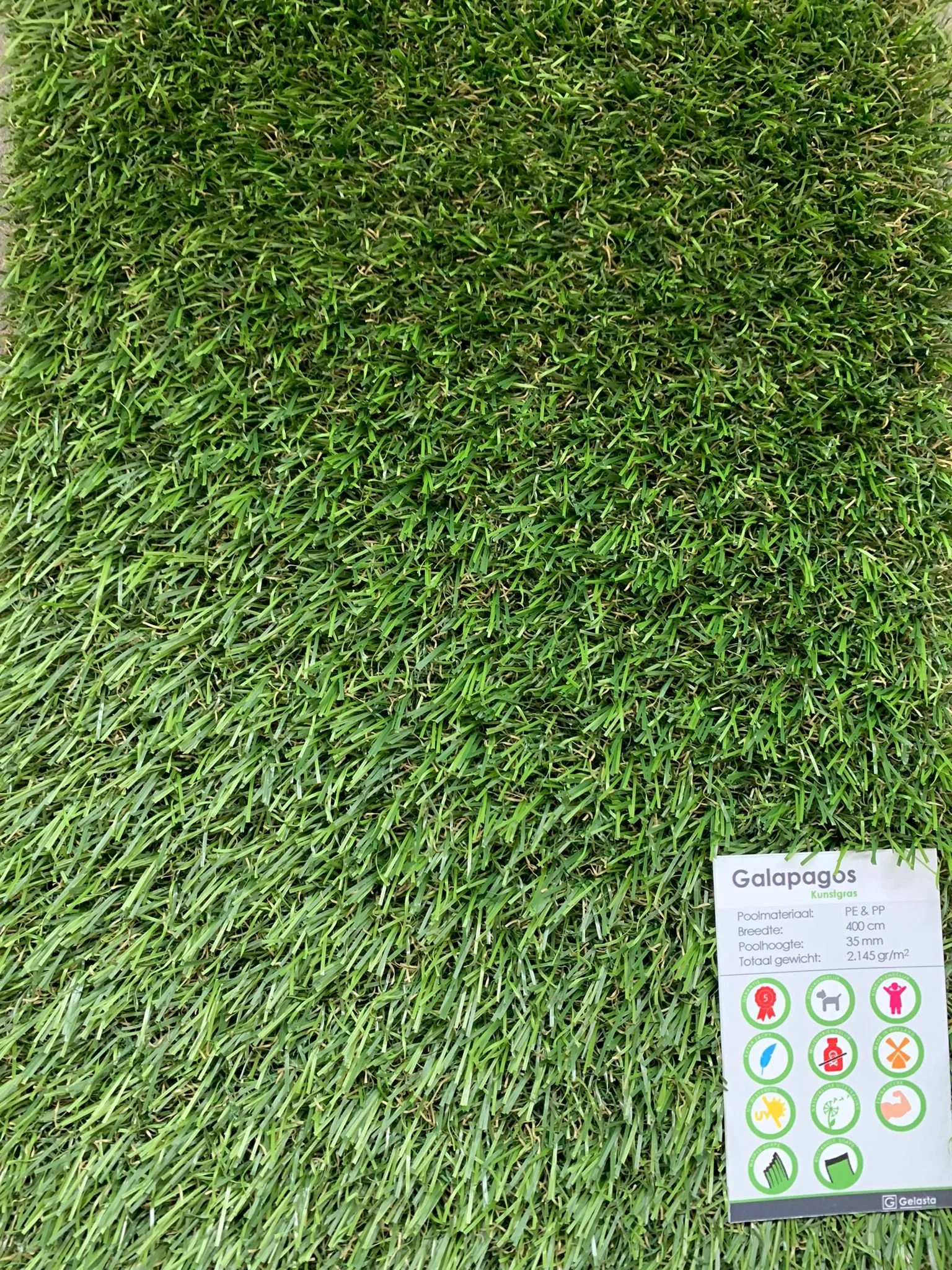 WhatsApp Image 2022-04-30 at 3.27.41 PM.jpeg