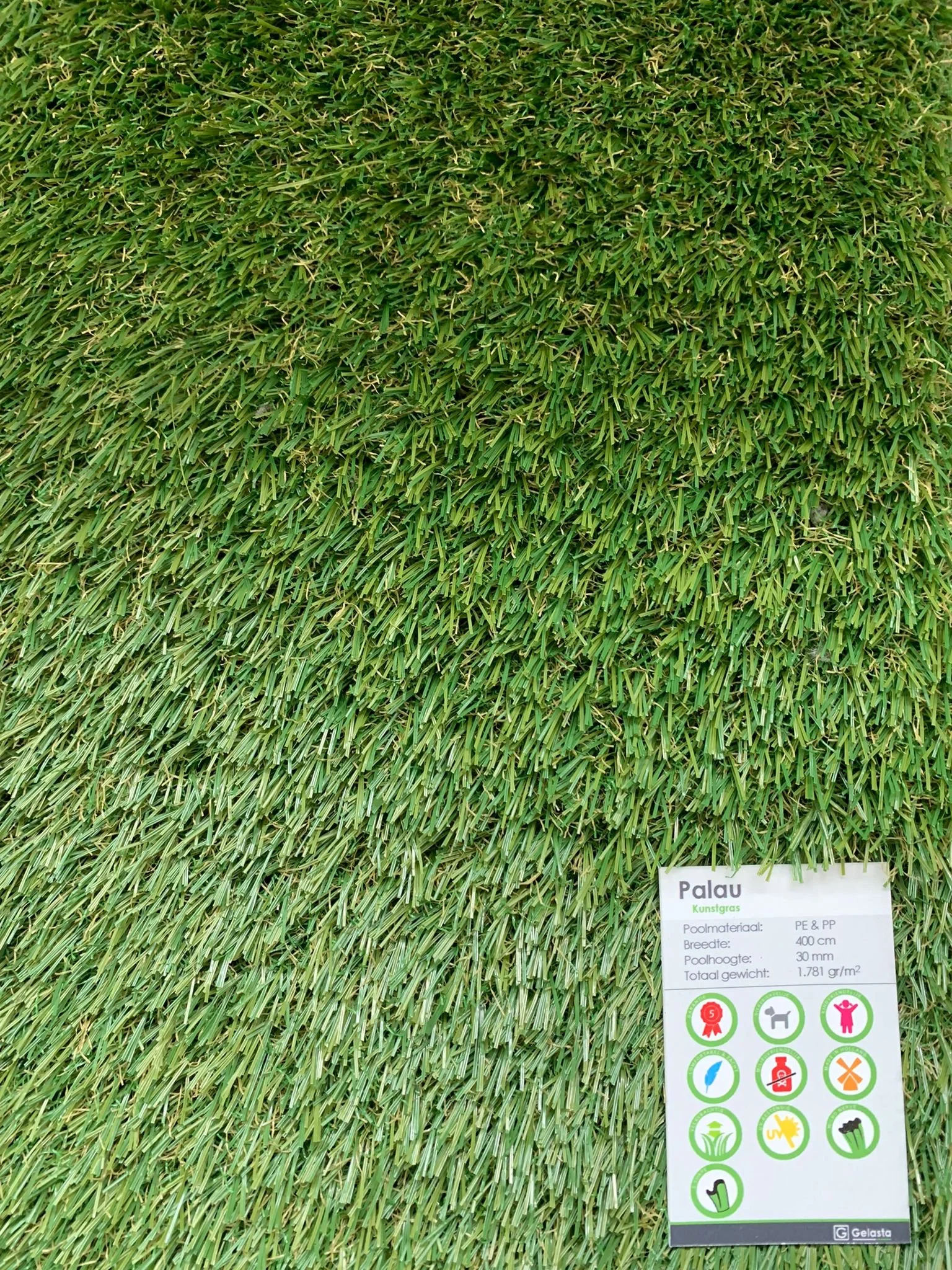 WhatsApp Image 2022-04-30 at 3.27.48 PM.jpeg