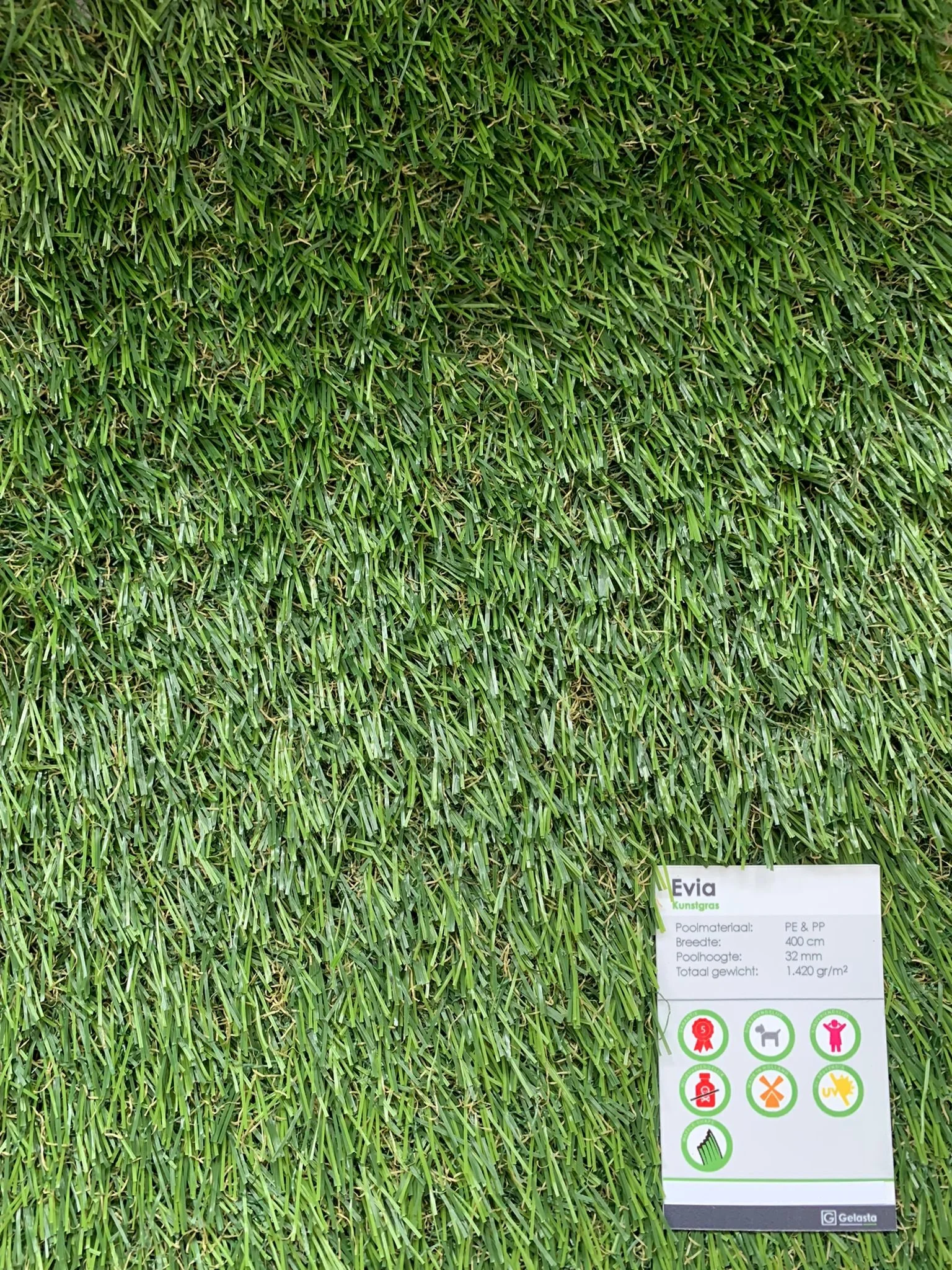 WhatsApp Image 2022-04-30 at 3.27.59 PM.jpeg