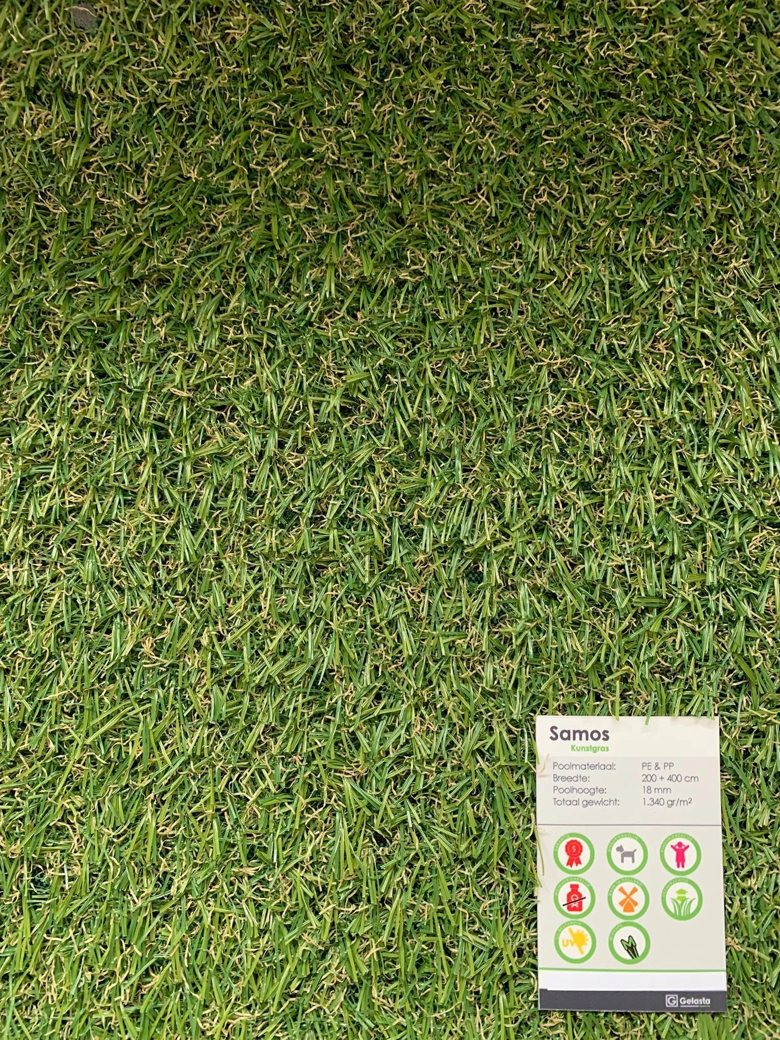 WhatsApp Image 2022-04-30 at 3.28.09 PM.jpeg