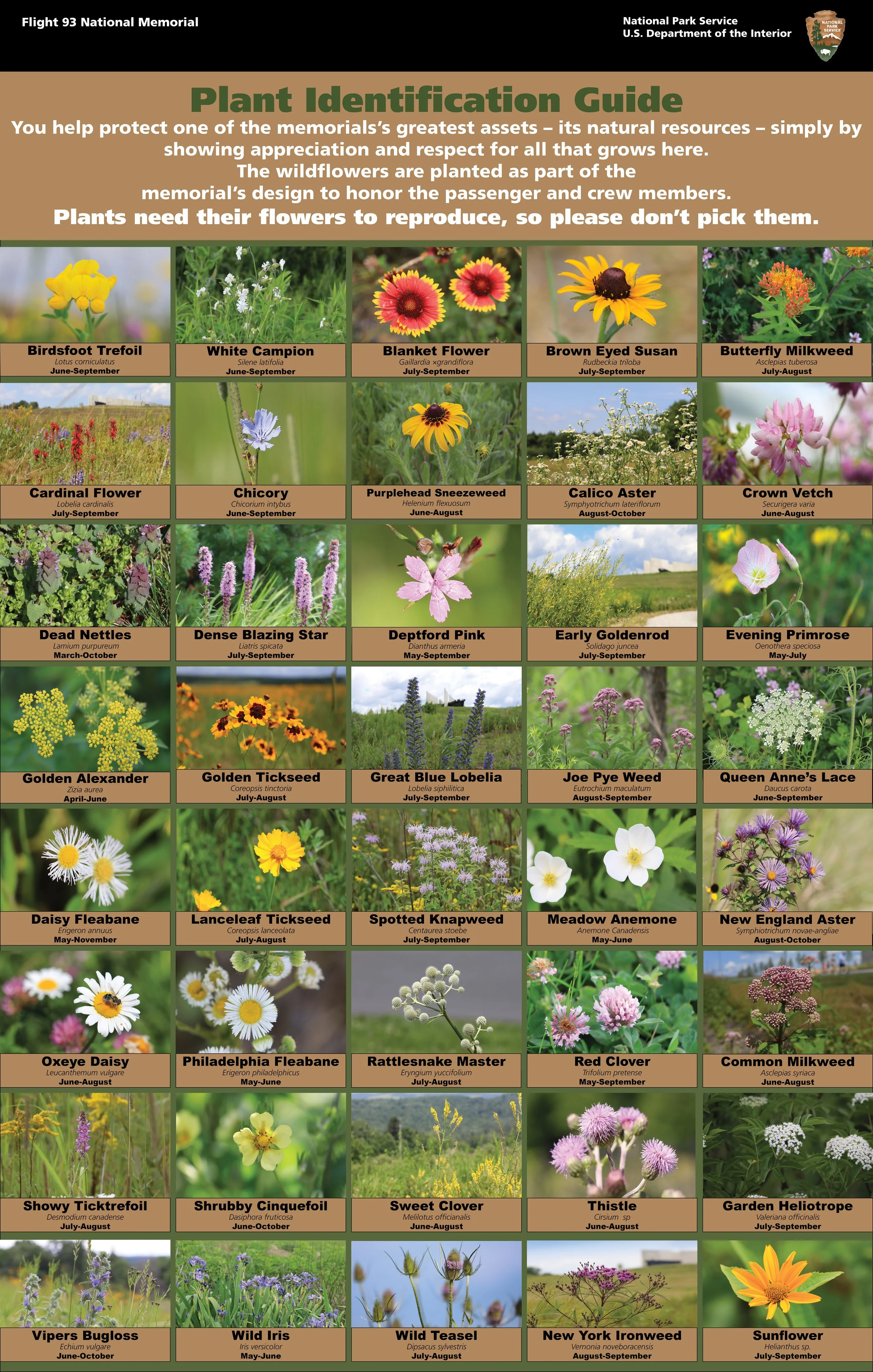 Plant Identification Guide-Resized-1.jpg