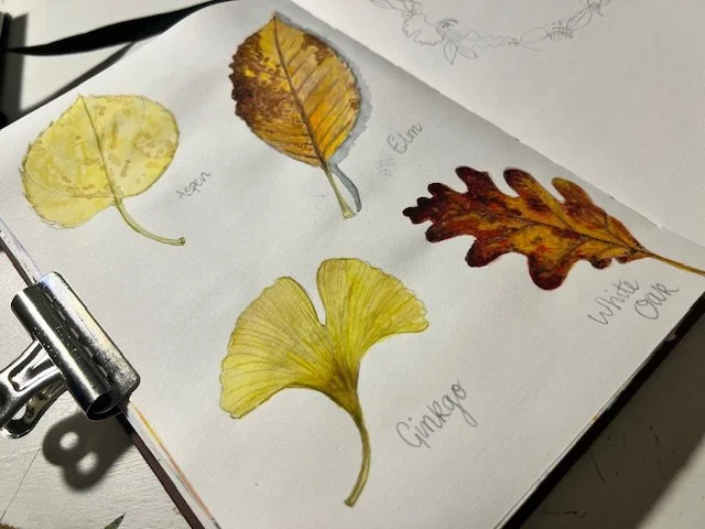 image1 (1).jpeg
