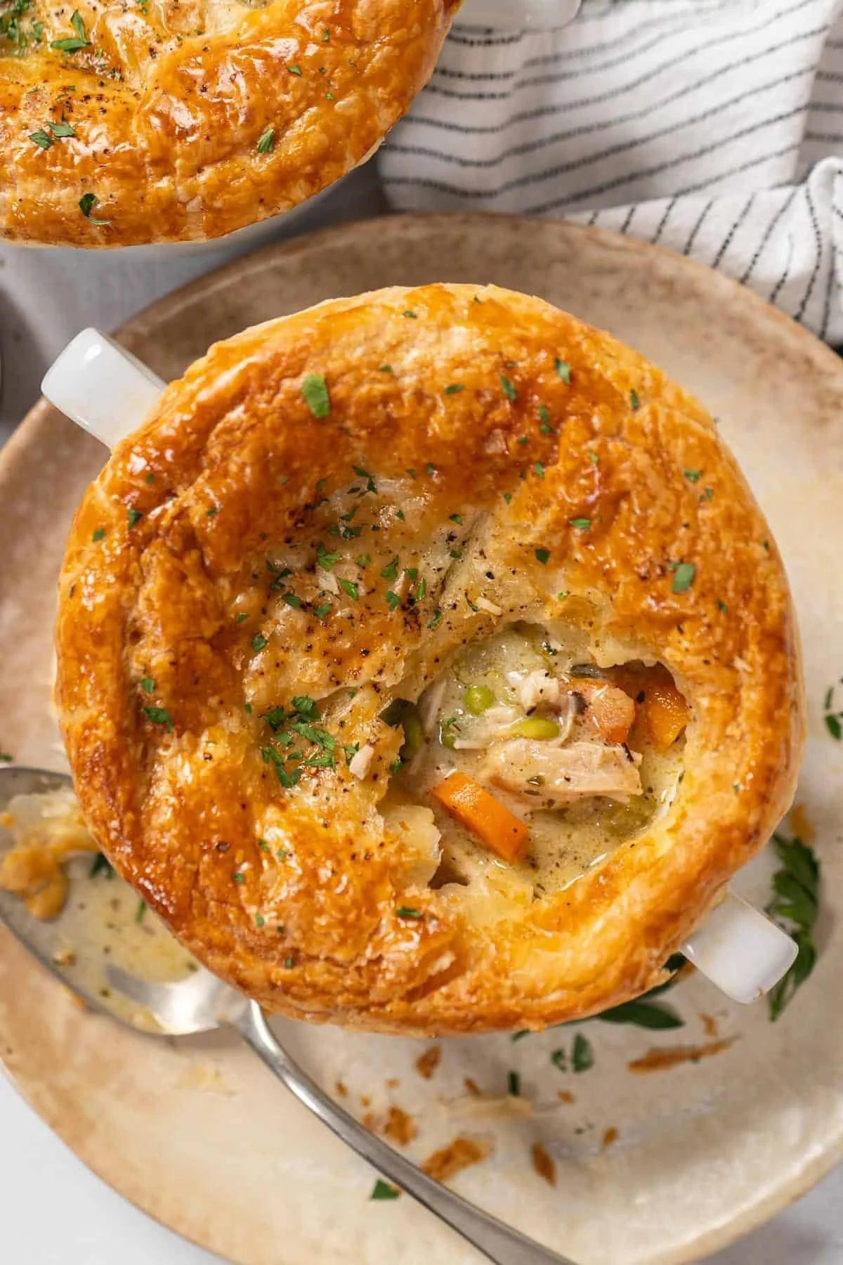 Dinner with the Family...Homemade Chicken Pot Pie