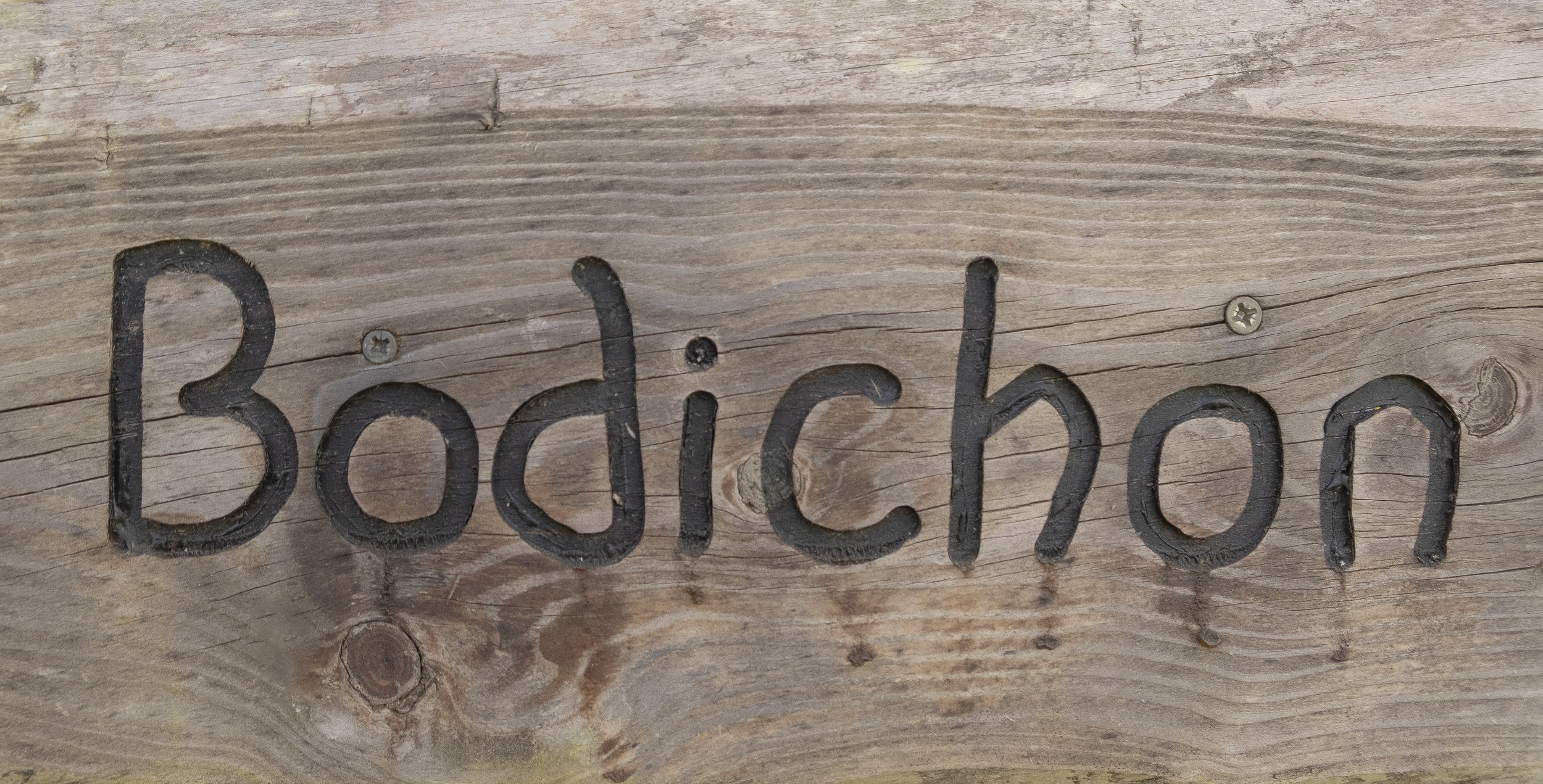 Bodichon_7.JPG