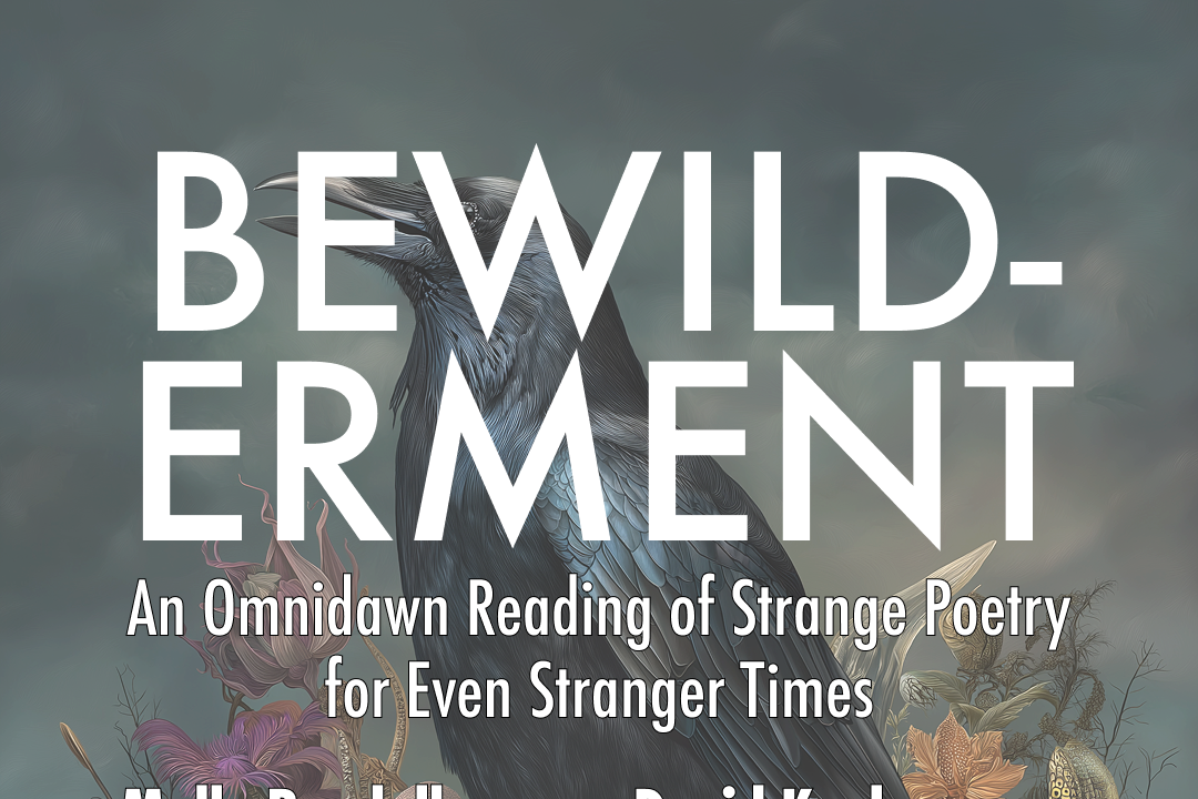 AWP off-site reading - Bewilderment: An Omnidawn Reading of Strange Poetry for Even Stranger Times.
