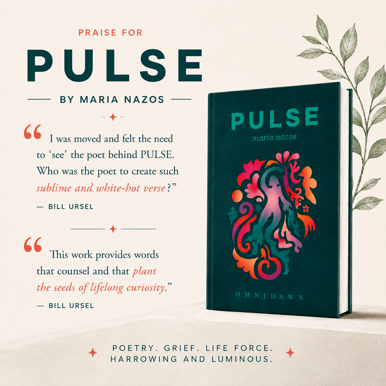 Read Bill Ursel's review.