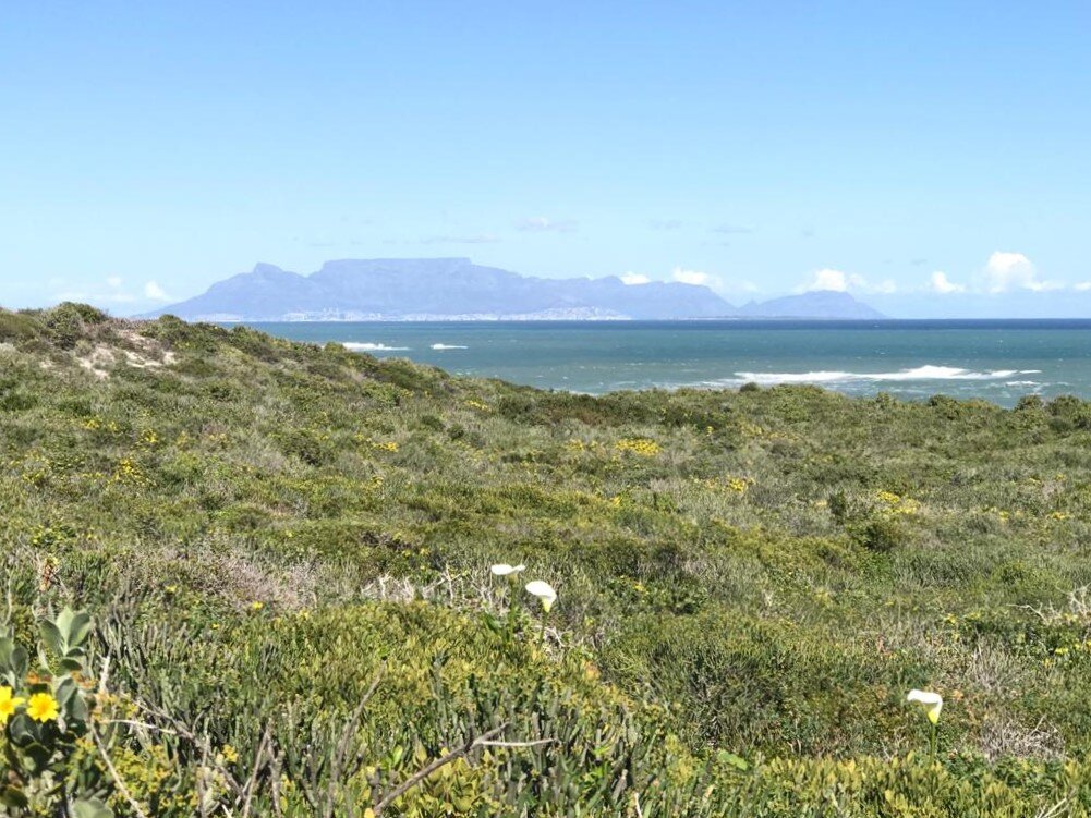 C-2020-071-Winterynbos, Ocean, Table Mountain, Springfontein Estate, Filming, Advertisement, Photo Shoot, Locatio.jpeg