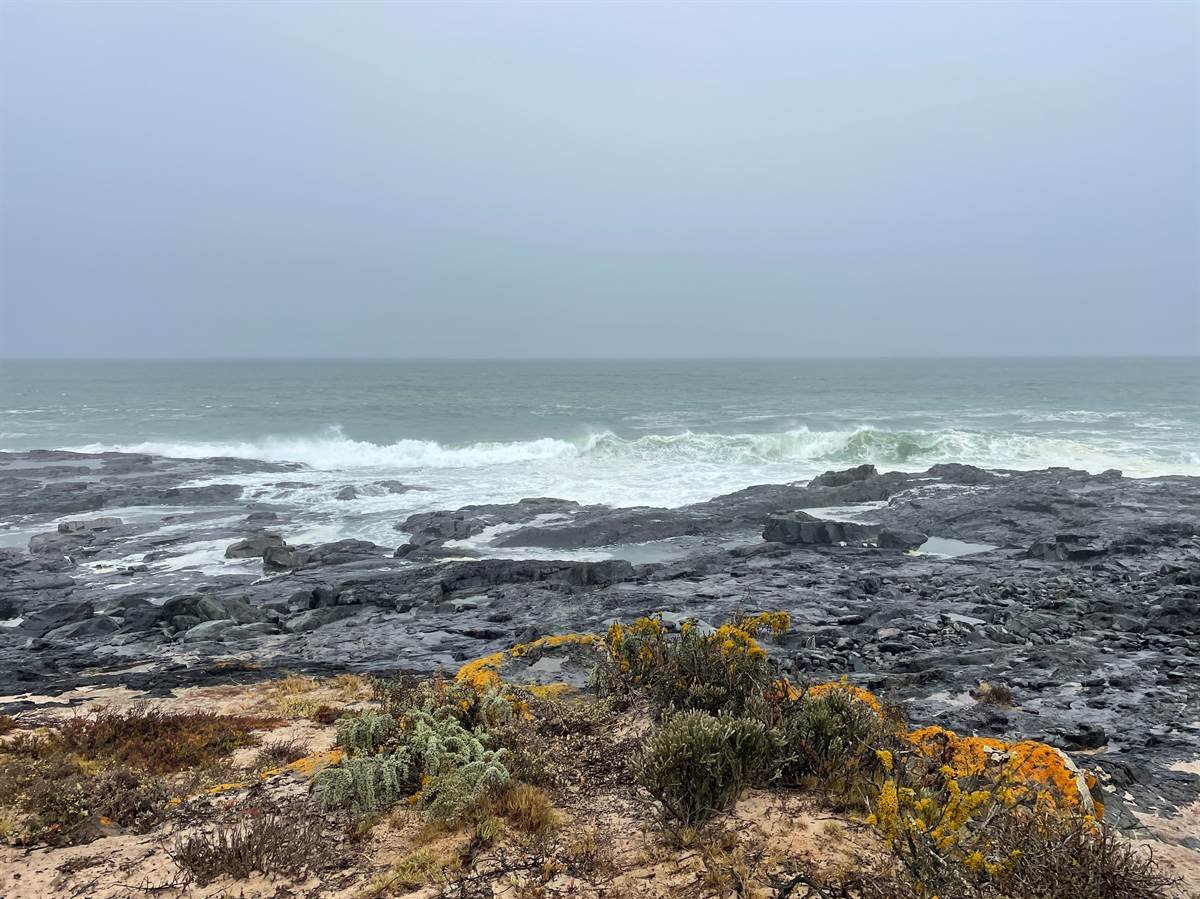 B-2022-038-Autumn, Fynbos, Beach, Springfontein Estate, Cape Town, South Africa, Filming, Advertisement, Photo Shoot, Location.JPG