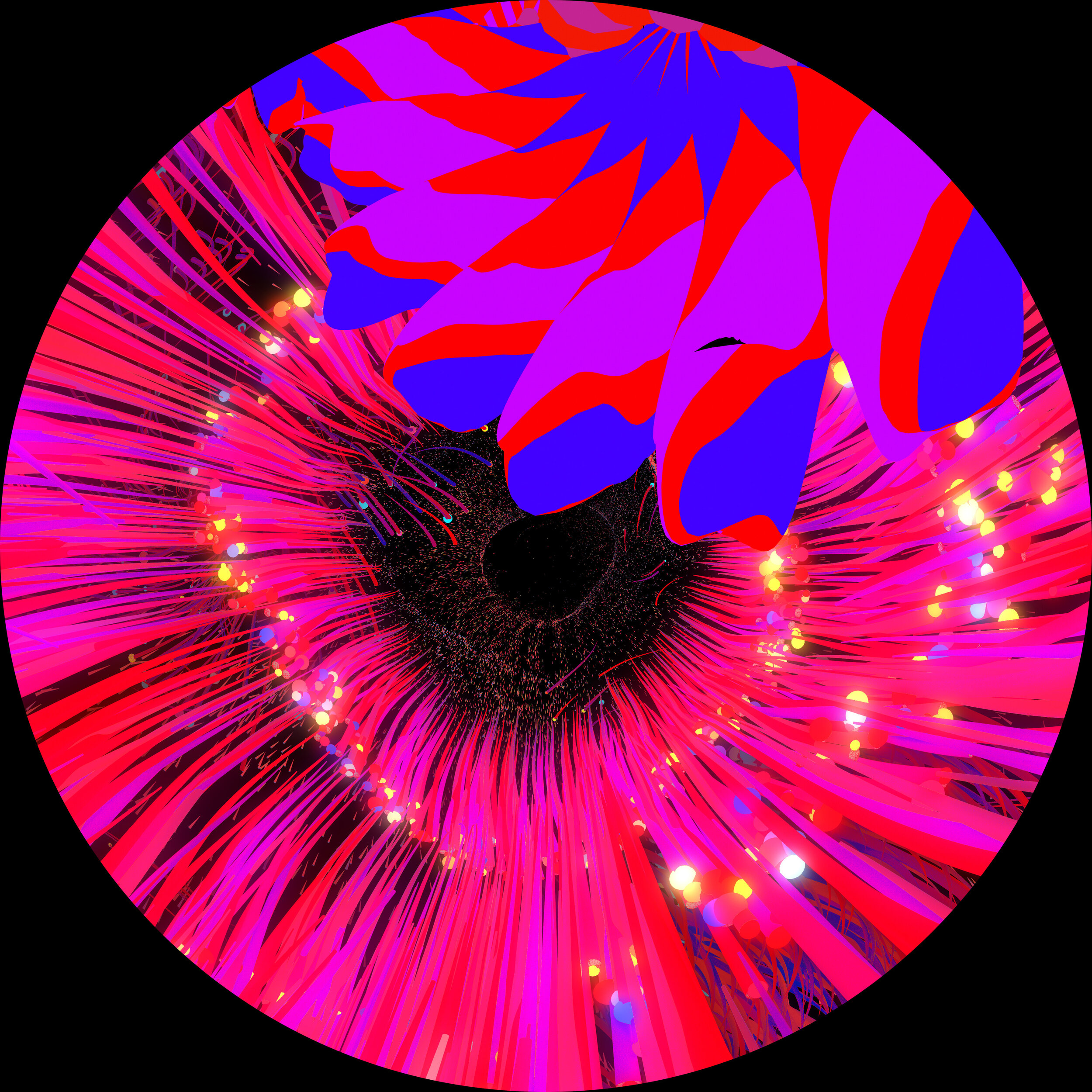 WithinYouWithouYou_12_4kFrames (01946)_sm.jpg