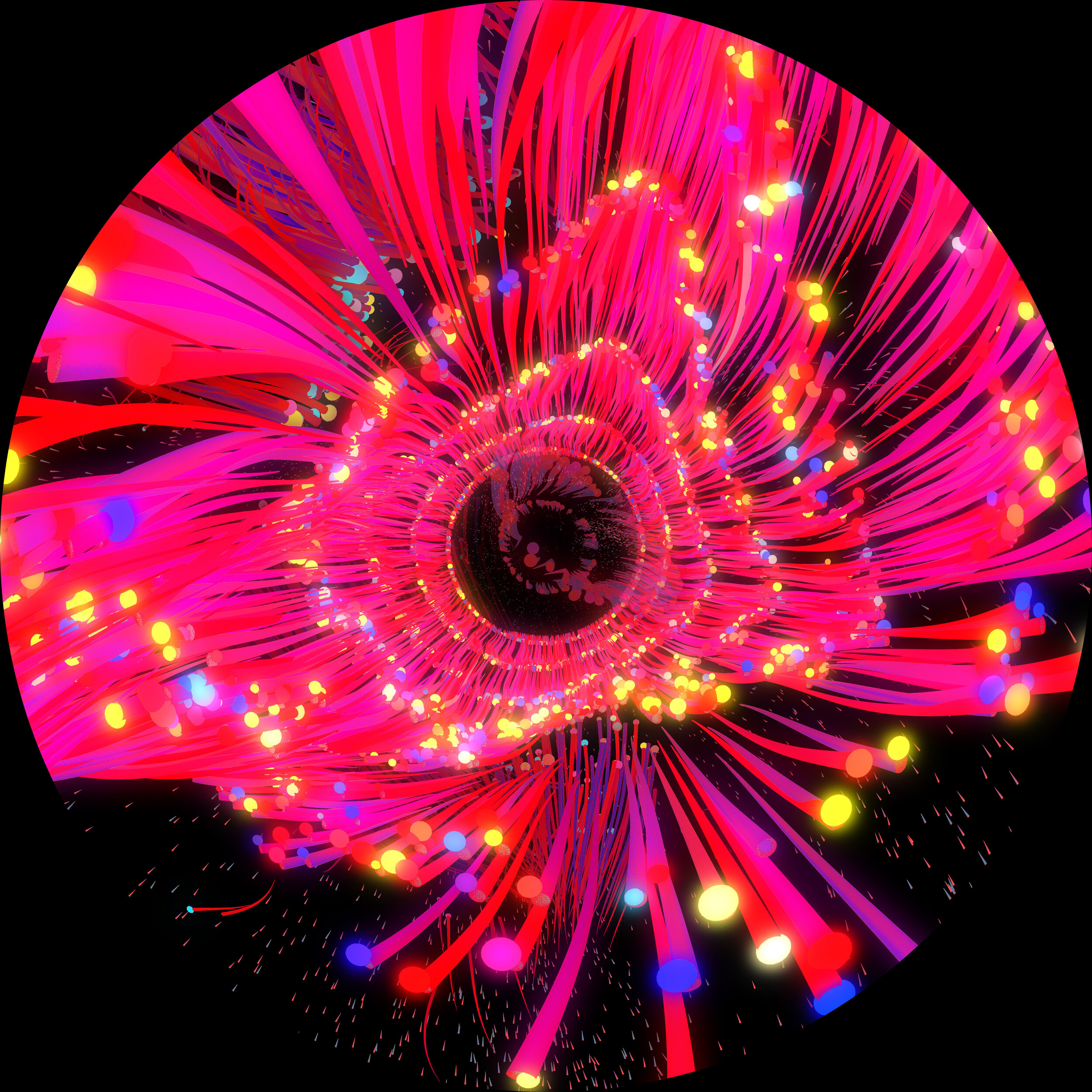 WithinYouWithouYou_12_4kFrames (02017)_sm.jpg