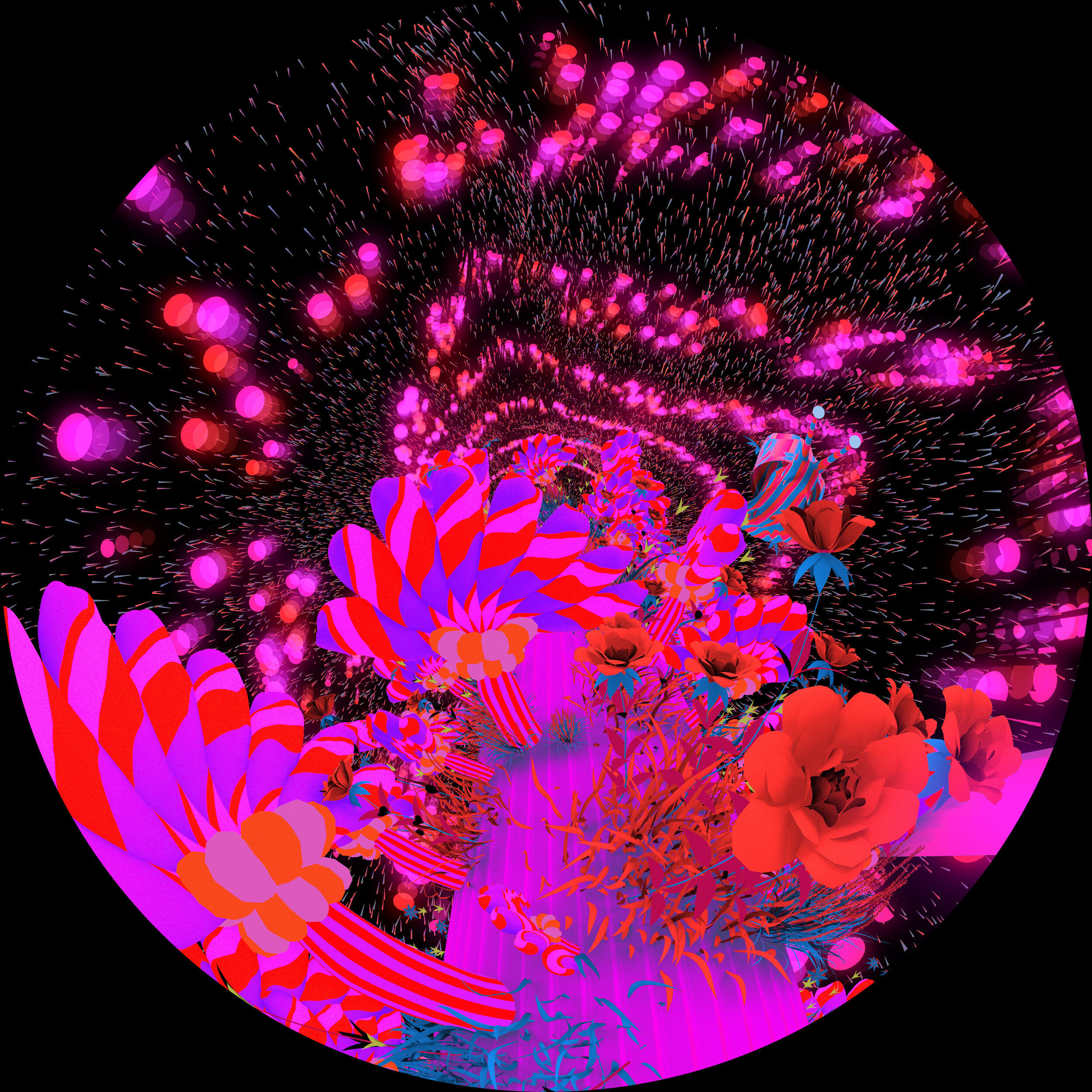 WithinYouWithouYou_12_4kFrames (02697)_sm.jpg