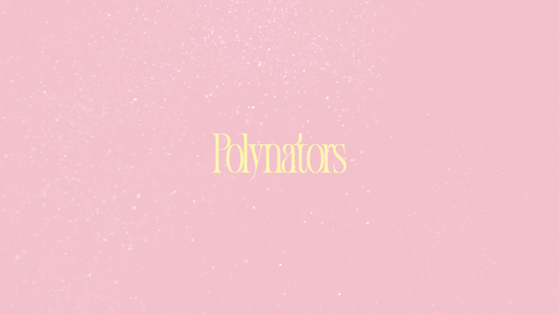 18Polynators.jpg