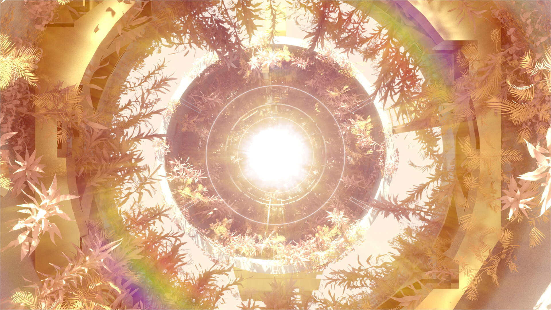 13Polynators_Solar.jpg
