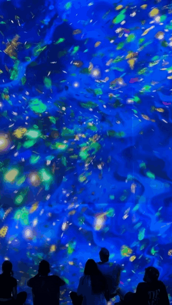 marinesnow2.gif