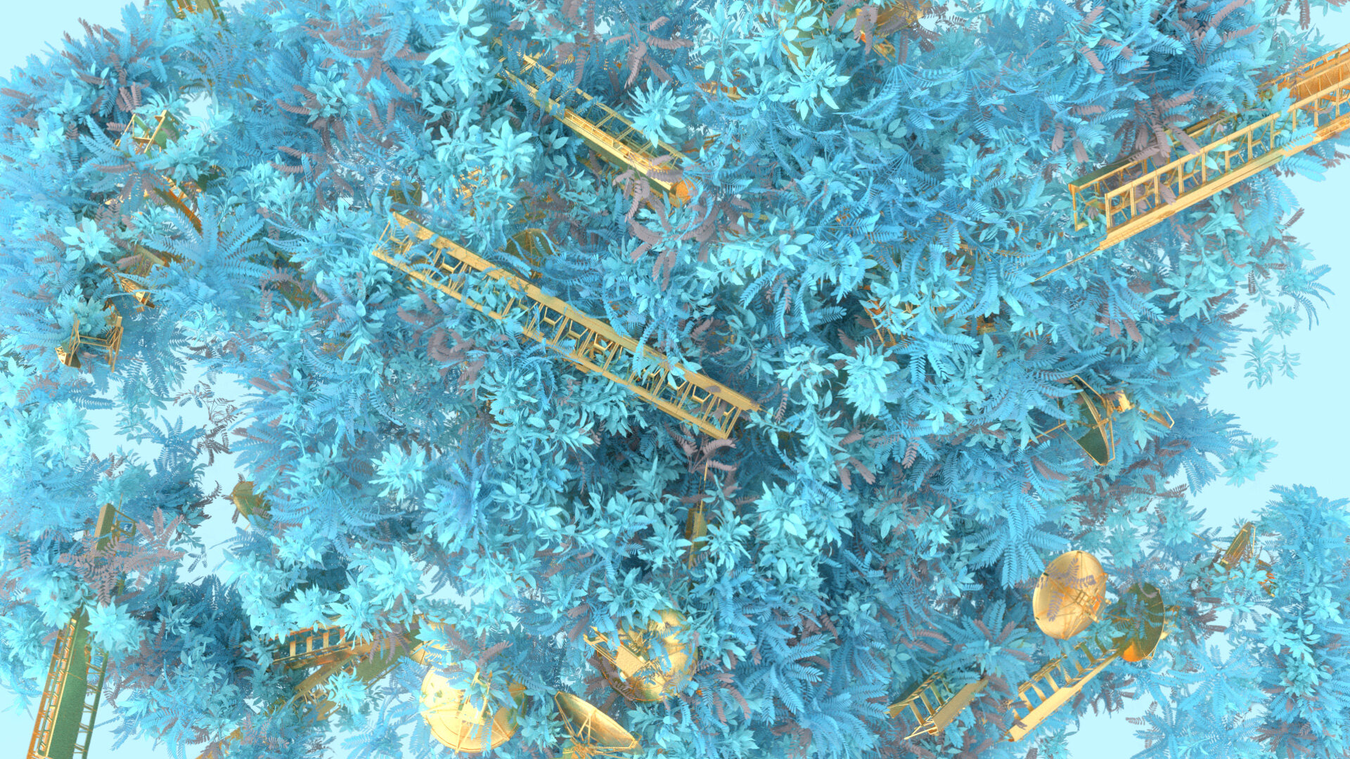 16Polynators (0-00-49-26).jpg