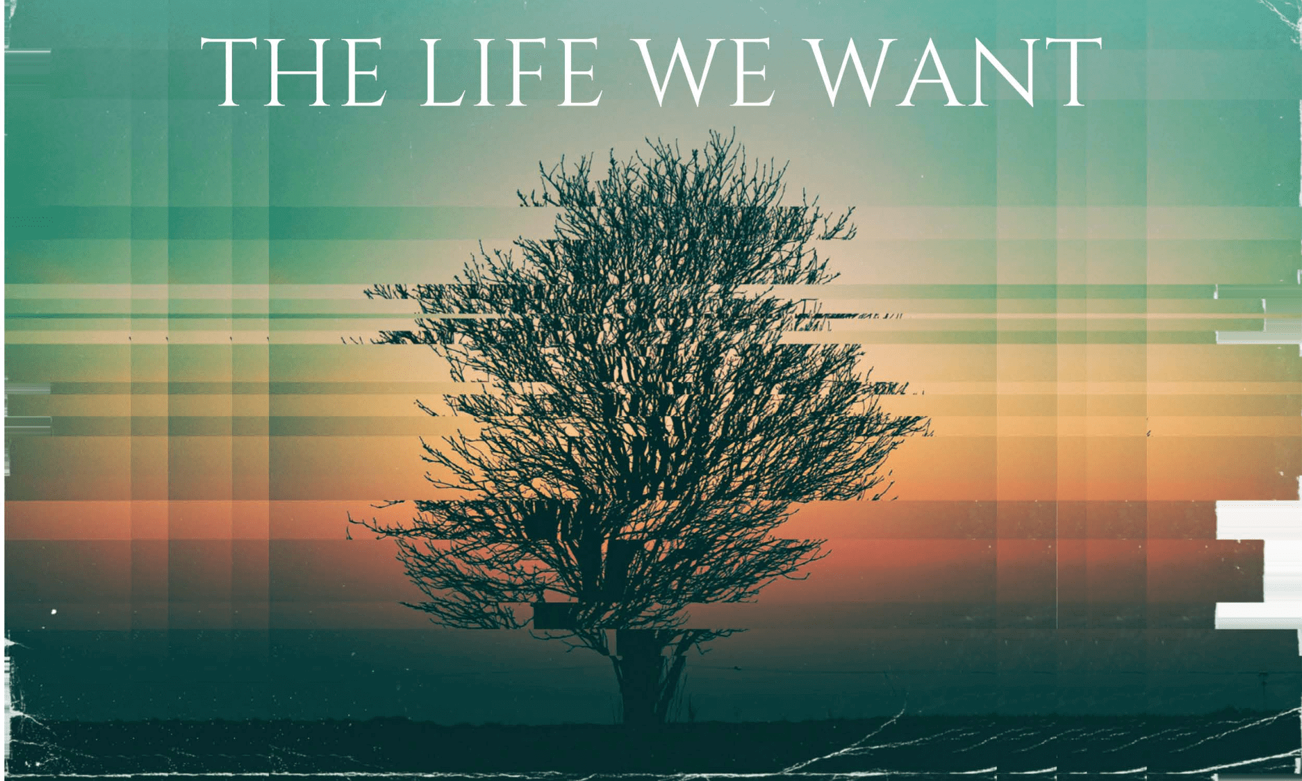 The Life We Want