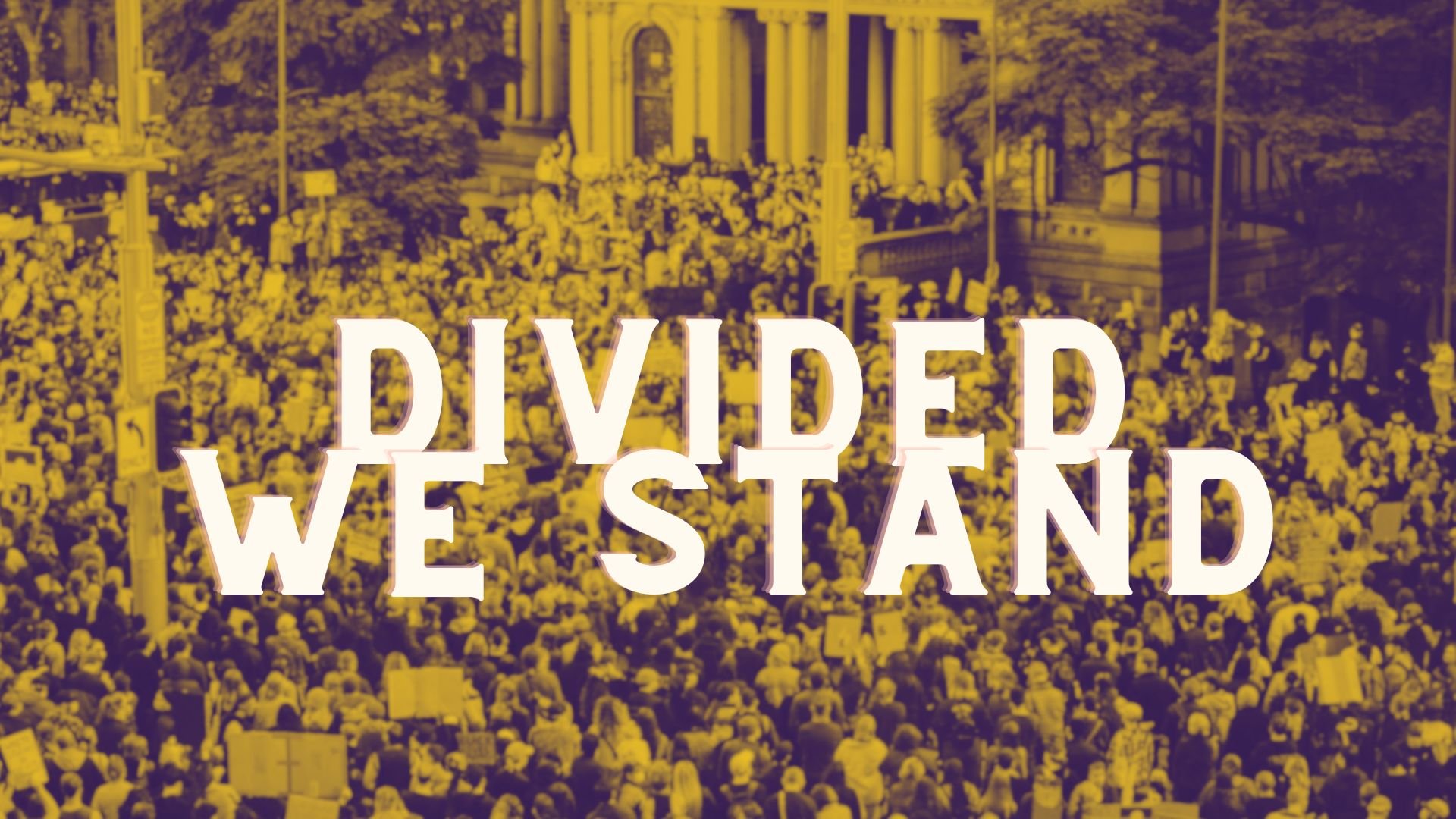 Divided We Stand graphic.jpg