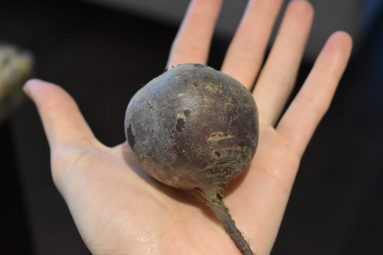 Smoothies Are My Life And My Blender Just Died: A Tale of Woe and Two Recipes.