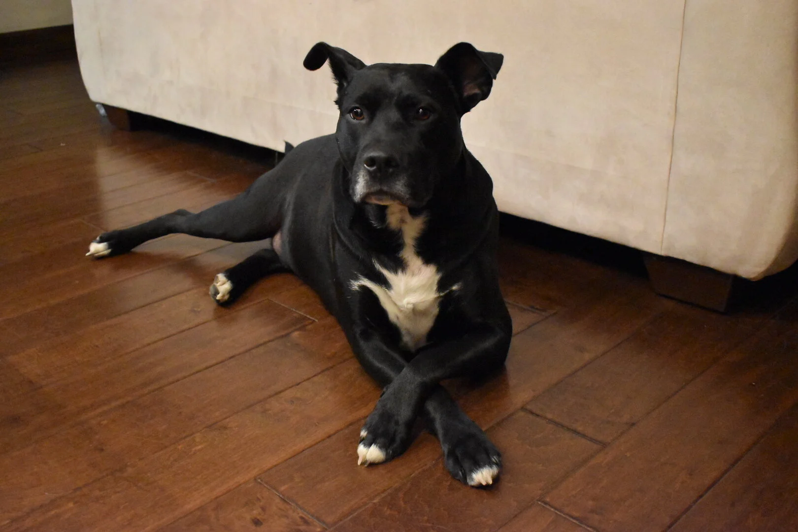 The Day George Came Home, For Hopefully the Last Time.