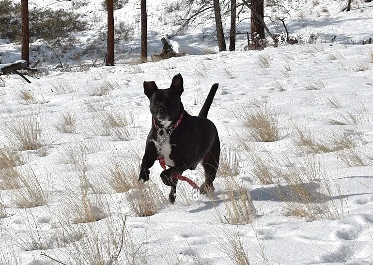 Some Things Just Don't Work Out (Farewell, Sweet George).