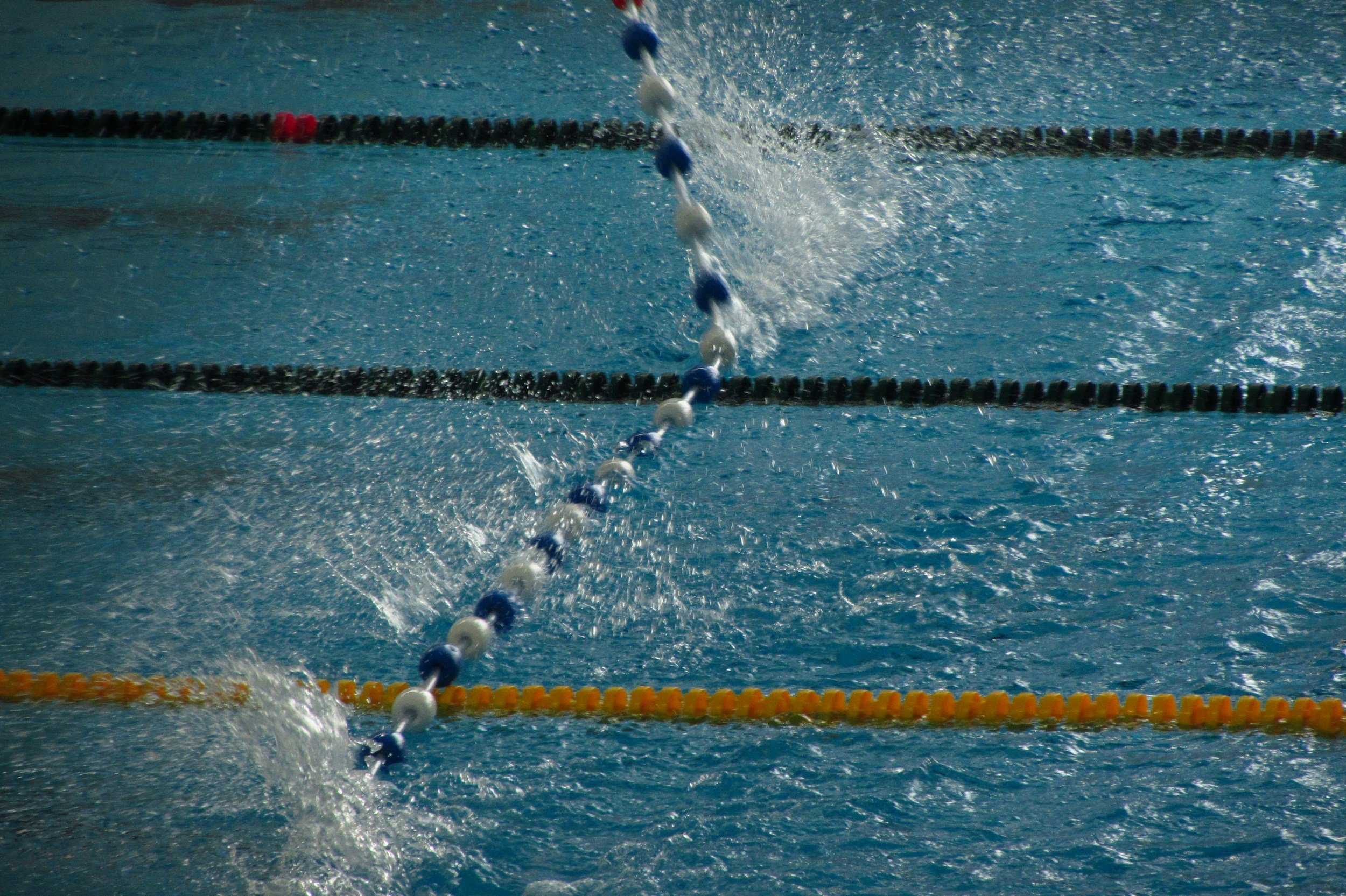 Swim Races