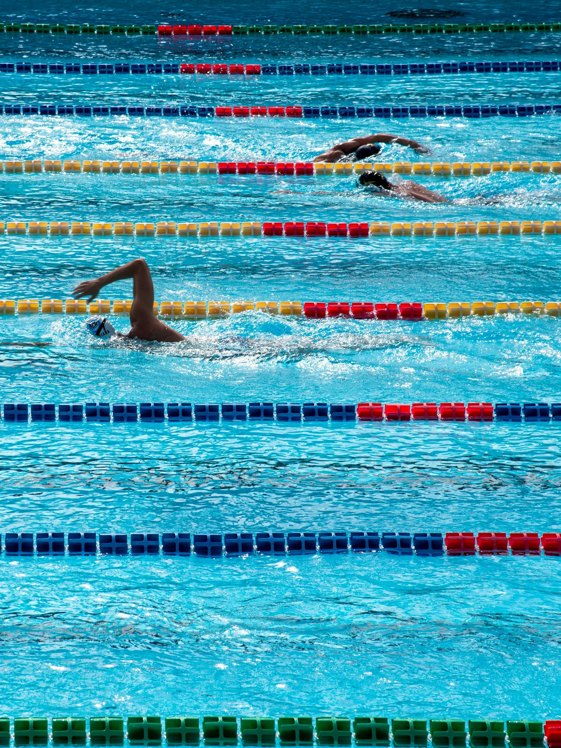 Swim Races 