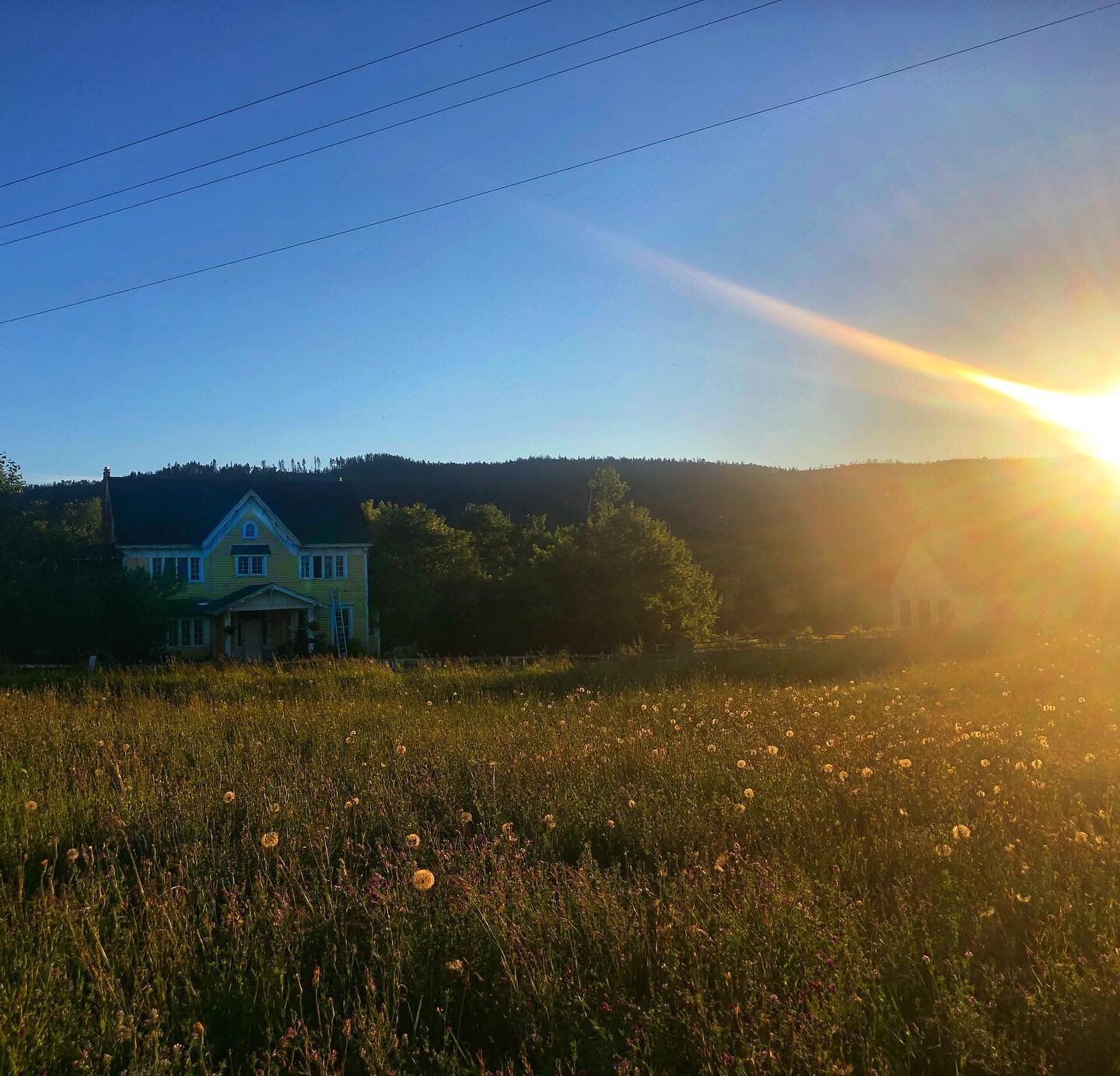 Sunset walk...home calls across the field....alfalfa is in bloom &mdash;&mdash;it&rsquo;s the first day of haying!  Finally the weather is being friendly to us farmers. Enjoy this glorious weekend!!
&bull;
&bull;
&bull;
#onwardranch #sunshinehouse #o