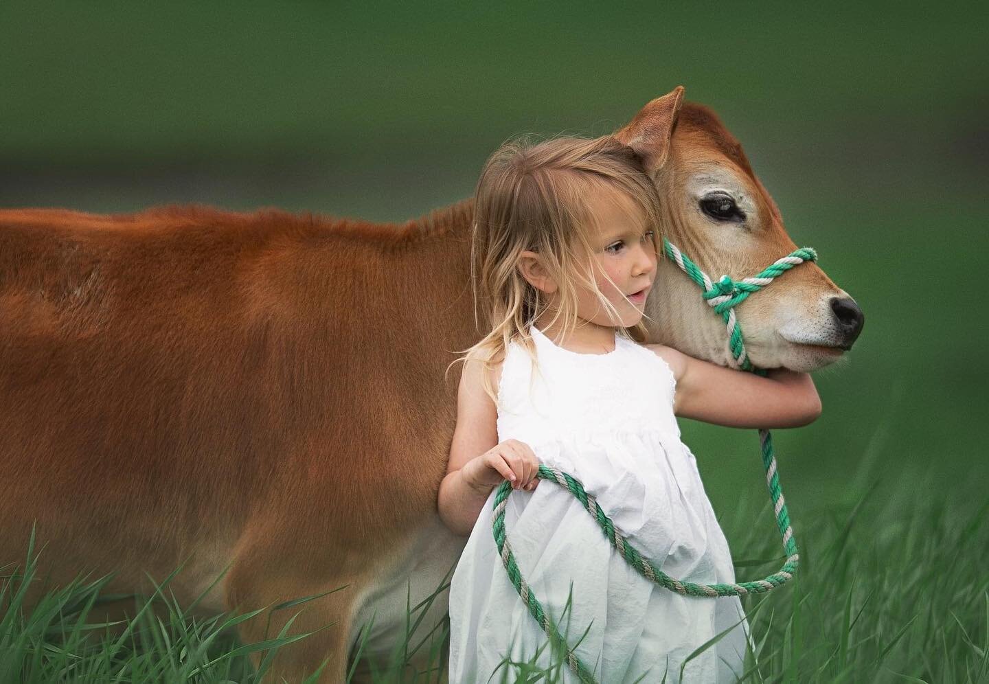 Little farm girls are tough little characters &mdash;-but they can sure be loving and gentle and sweet when it comes to animals! This picture reminds me of the old saying &ldquo;sugar and spice and everything nice&mdash;-that&rsquo;s what little girl