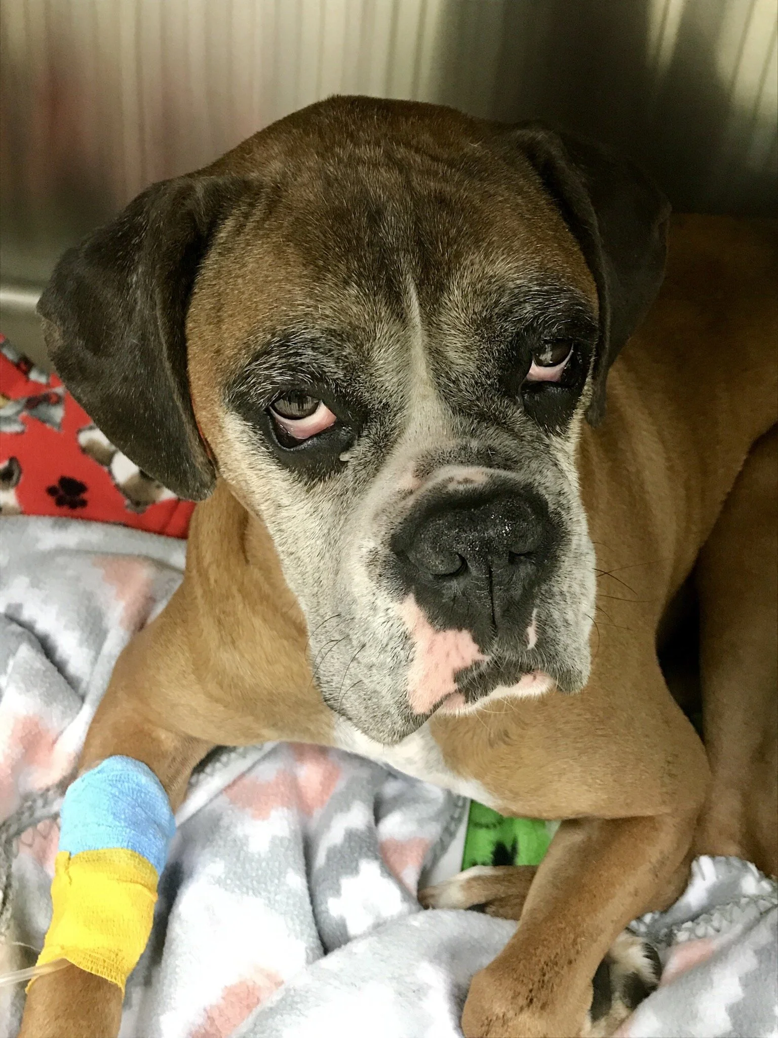 Living Well with Chronic Pain