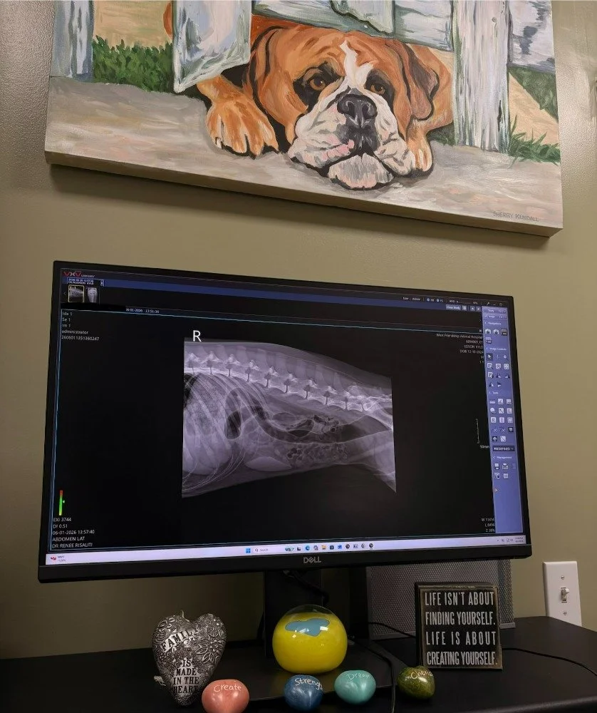 Radiology