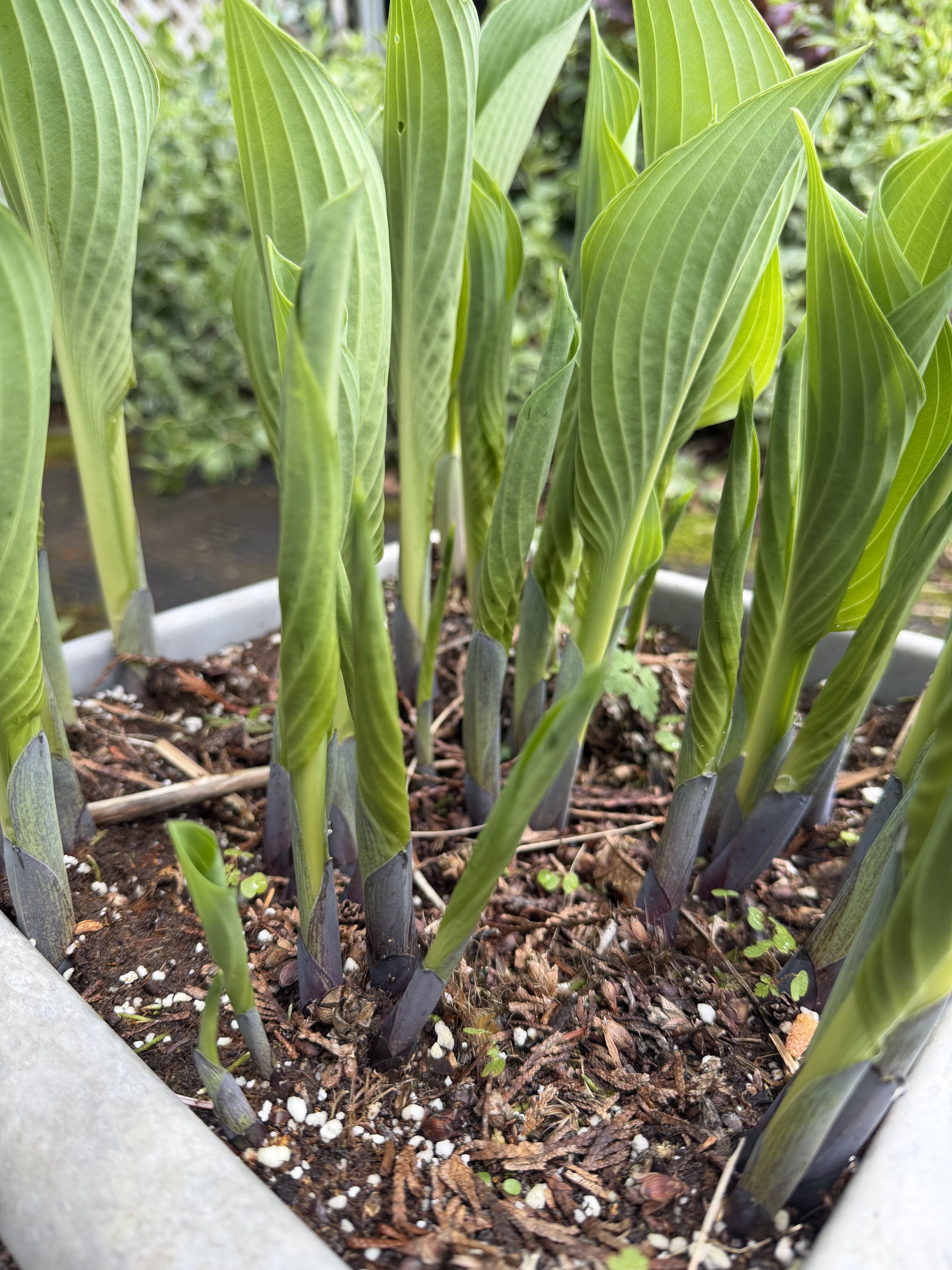 Week 2: Tend to Your Body