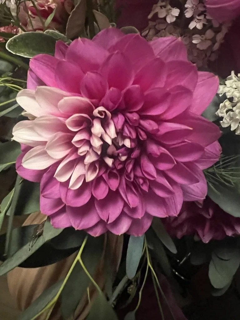 Single 90-min Session