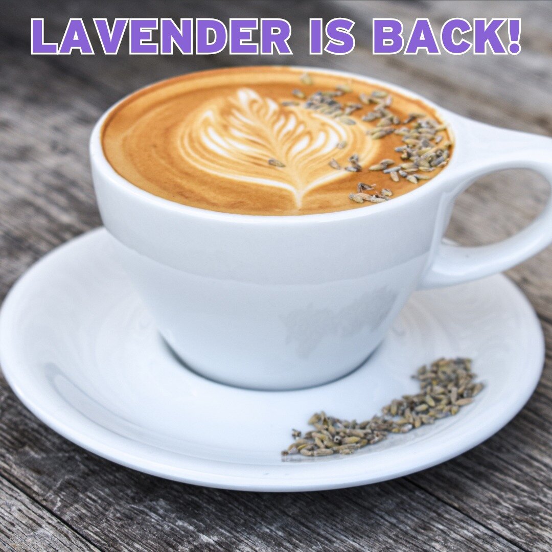 Fan favorite, springtime special, honestly - let's just call it a legend at this point! Lavender syrup is back at the Grain Theory coffee bar!! This house-made syrup makes lattes, lemonade, and even cold brew better (is that even possible!). Check it