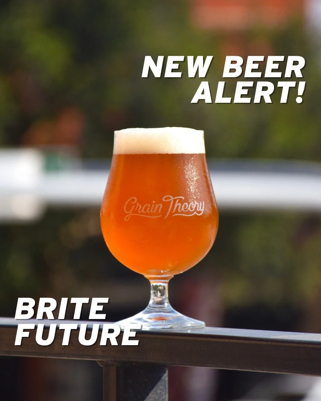 It’s time for a fresh new pour at Grain Theory! 🍻
☀️ Brite Future – Session Pale Ale (4.6%) ☀️
The sun’s hanging low, but this pour is all daylight. Brite Future packs a full-spectrum hop punch into a crisp, easy-drinking pale al
