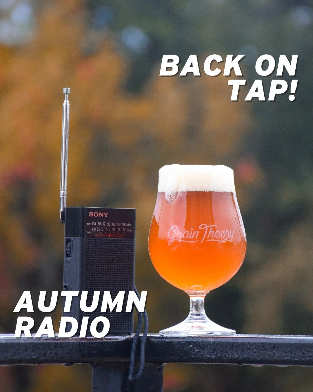A new seasonal release just landed at Grain Theory! 🍂📻

🍁 Autumn Radio &ndash; Amber Wheat (4.6%) 🍁

A cooler-weather companion to our Summer Radio wheat beer, this amber take leans into fall with notes of bread crust, a touch of orange peel, and