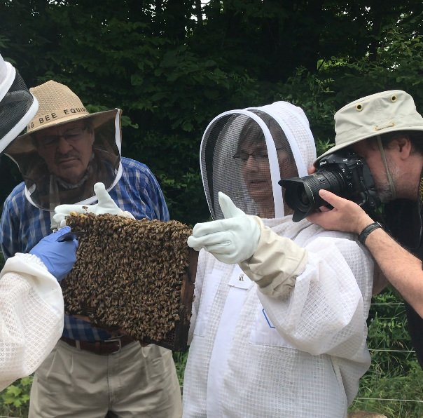 Pollinators