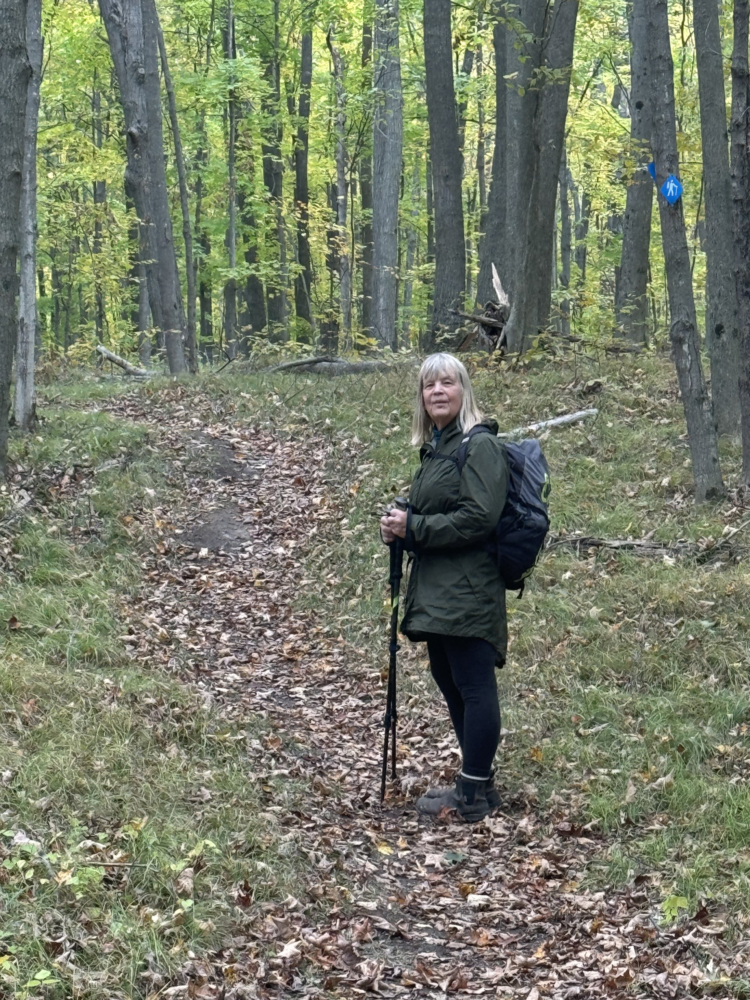 Forest Bathing