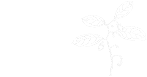 Wintergreen Studios