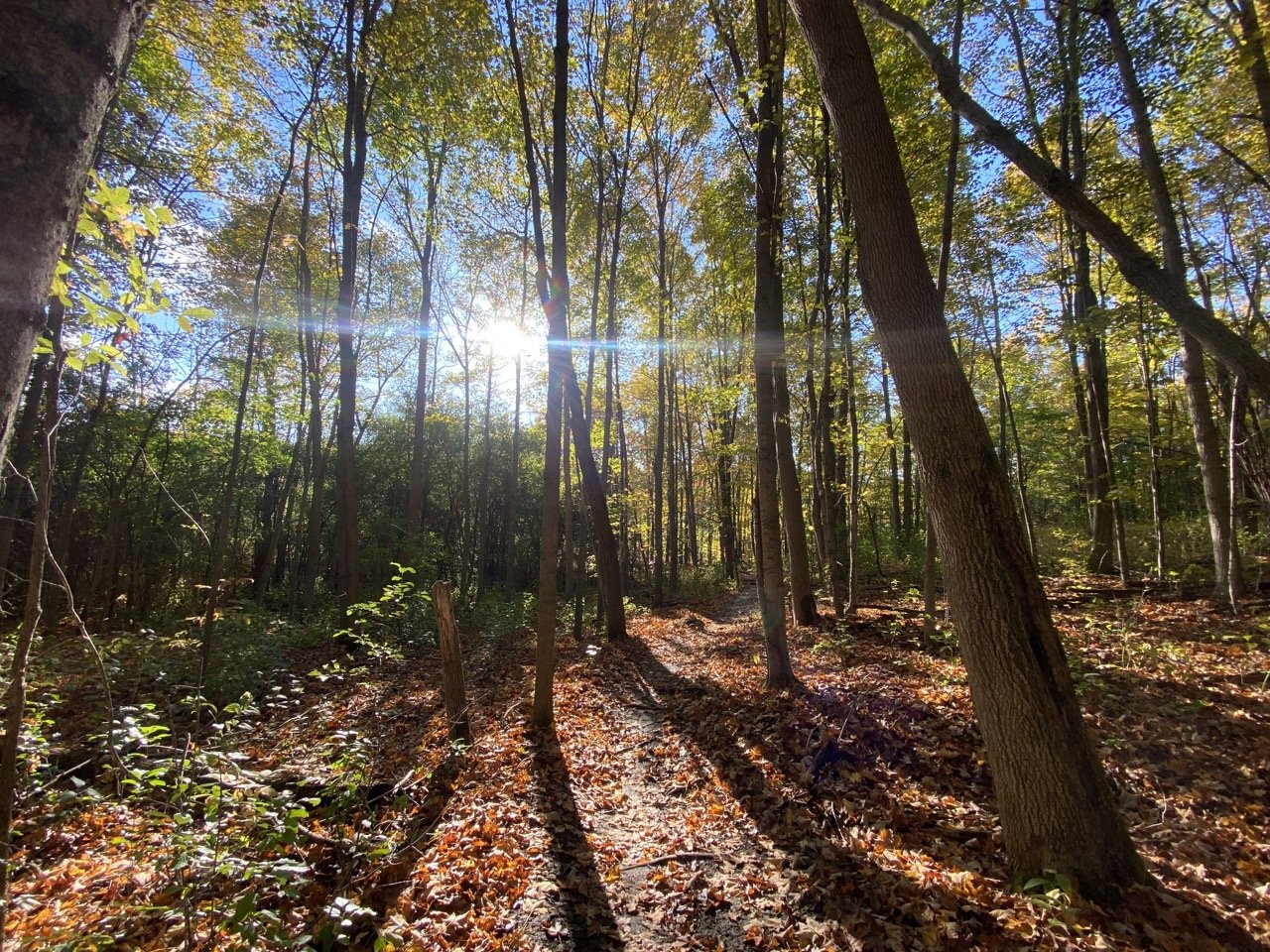 September Open Trails Challenge