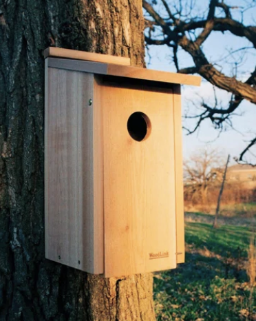 Screen Shot 2026-01-10 at 7.07.03 PM.png