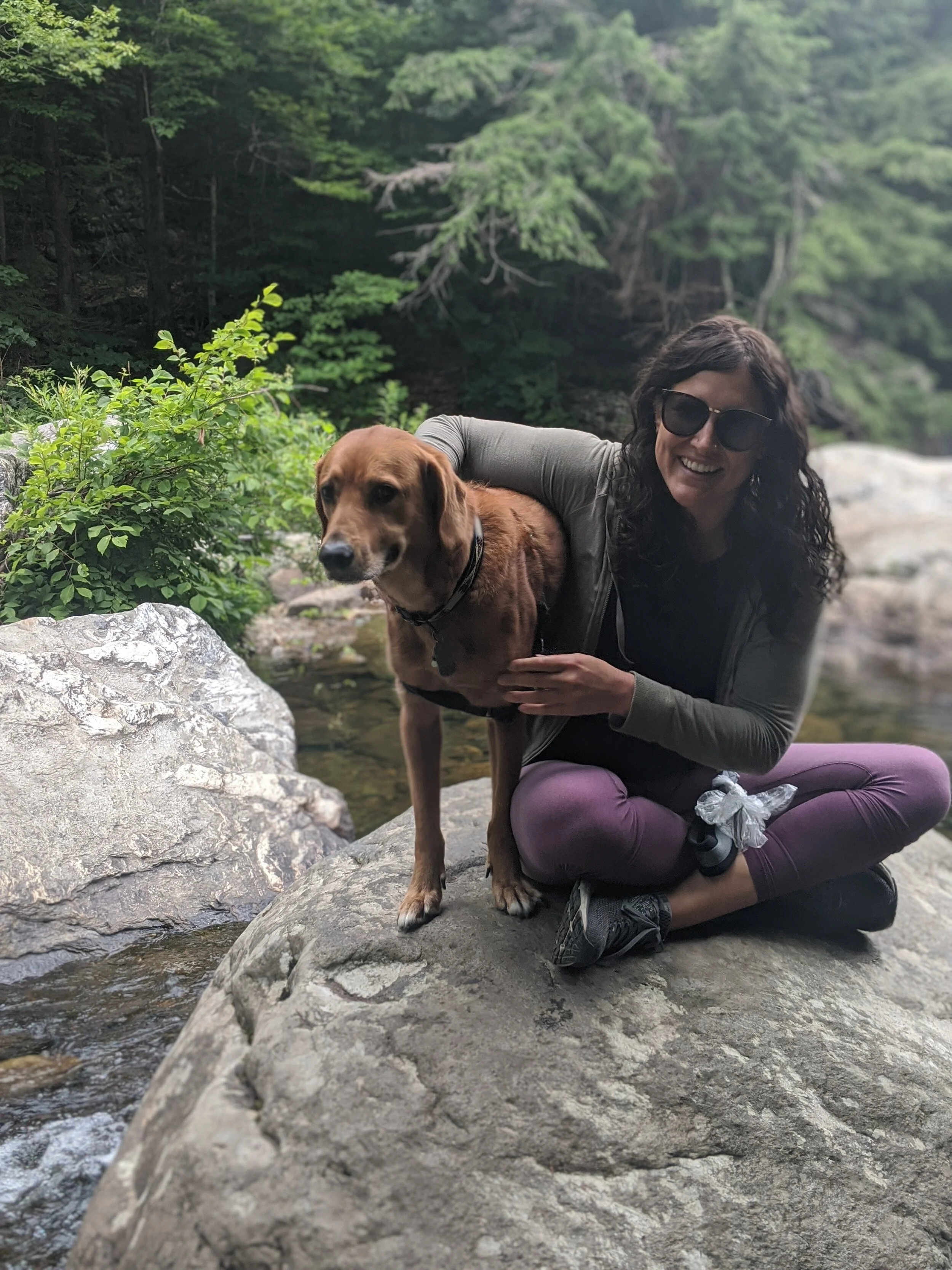 The Roots of the Dog Herbalist — Dog Herbalist Earth's Middleman for