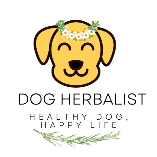 Dog Herbalist - Earth&#39;s Middlewoman for Dogkind