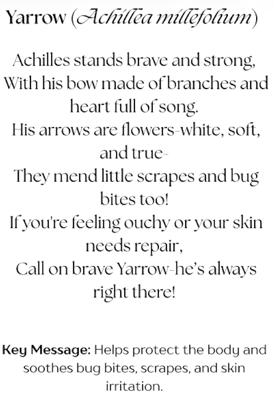 Screenshot 2025-12-20 at 9.54.57 AM.png