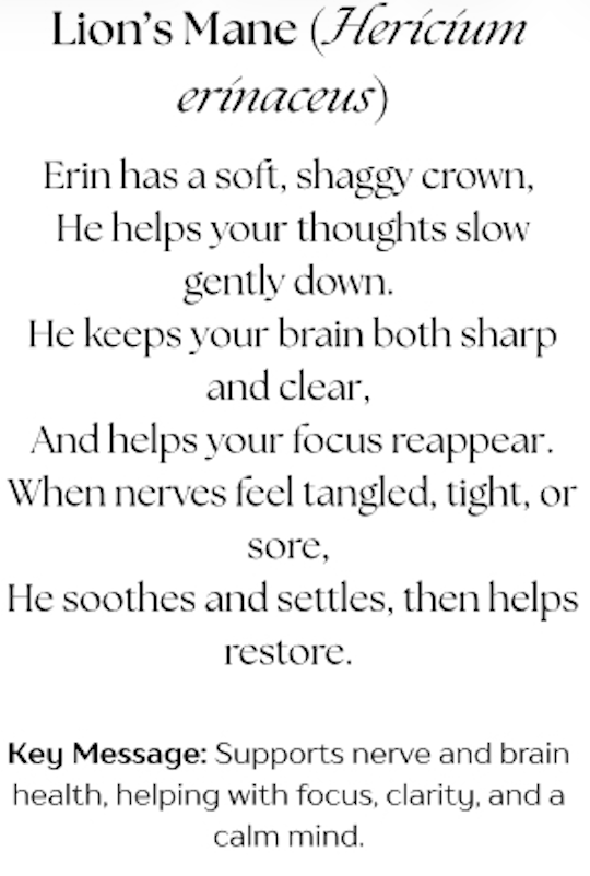 Screenshot 2025-12-20 at 9.53.36 AM.png