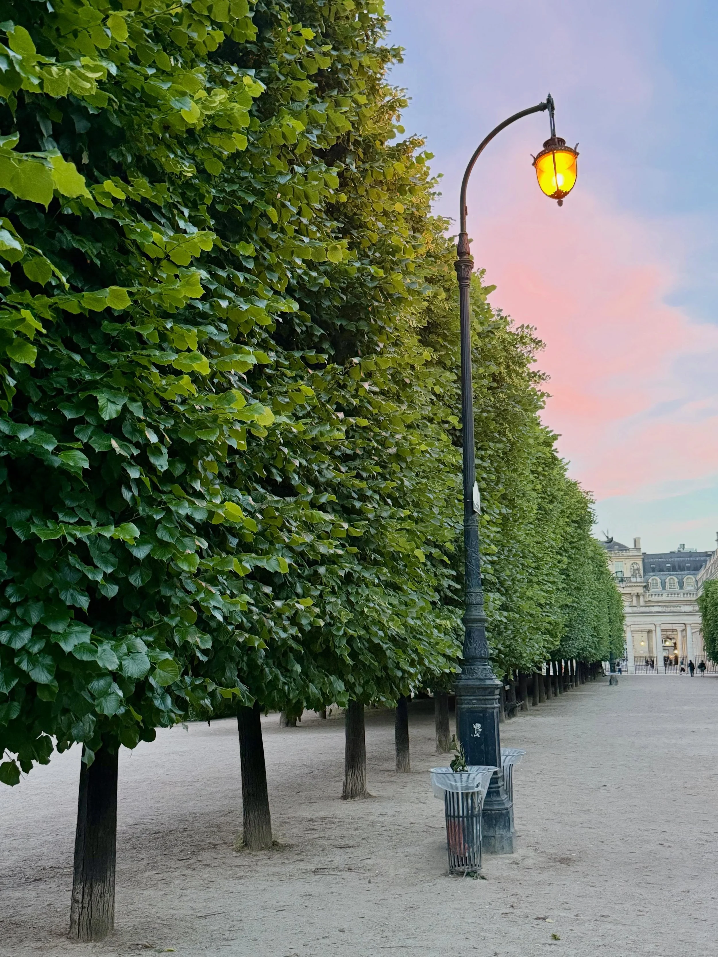 @jardindupalaisroyal  #paris