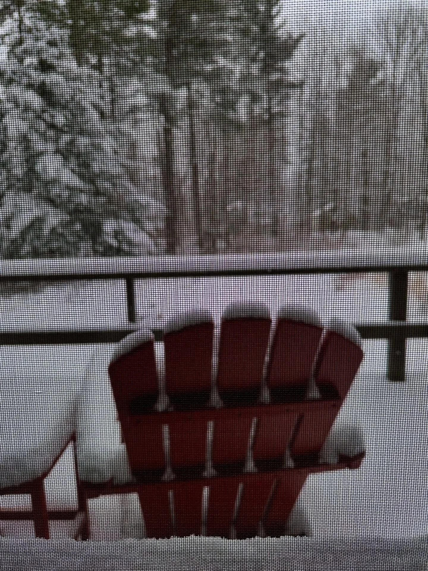 First day of Spring and a fresh snow. #adirondacks