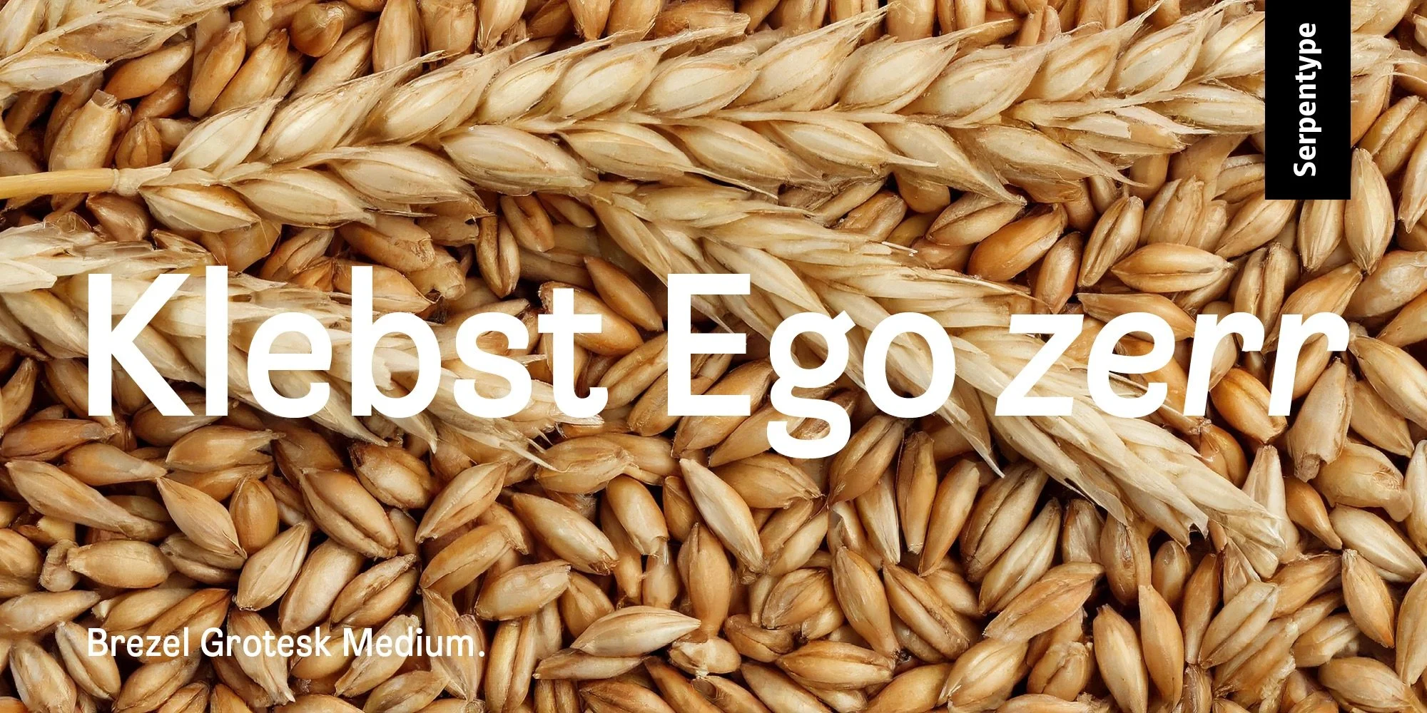 Serpentype_Banner_2000x1000px_Brezel_7.jpeg