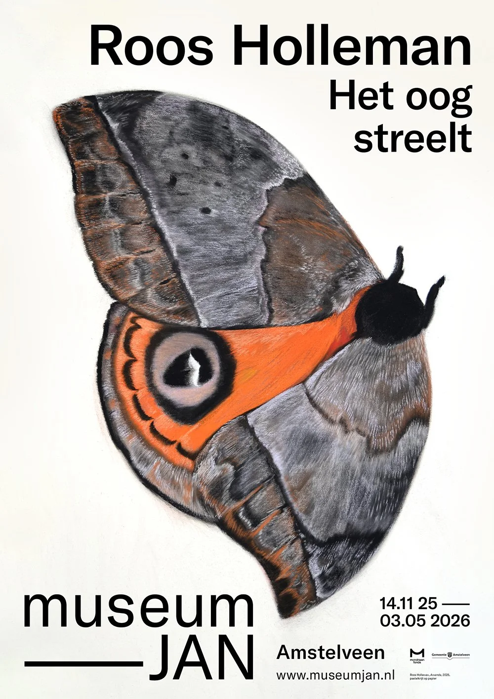 Roos Holleman - Het oog Streelt