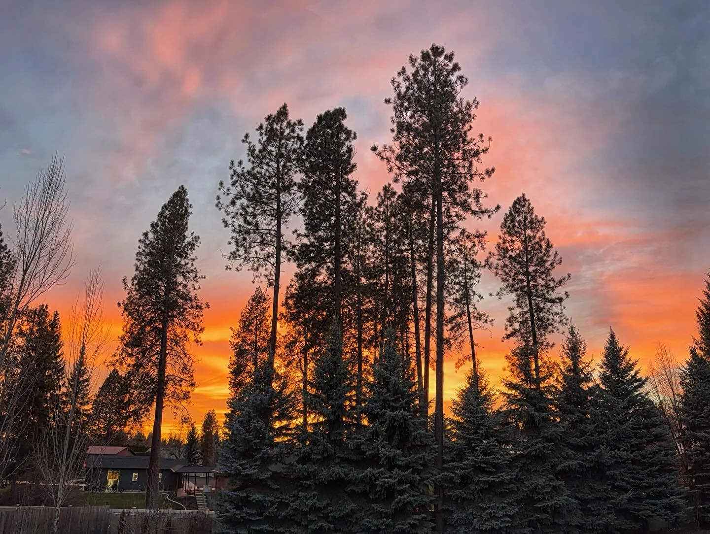 The sunset was picture worthy tonight from the deck! #sunset #sunsets