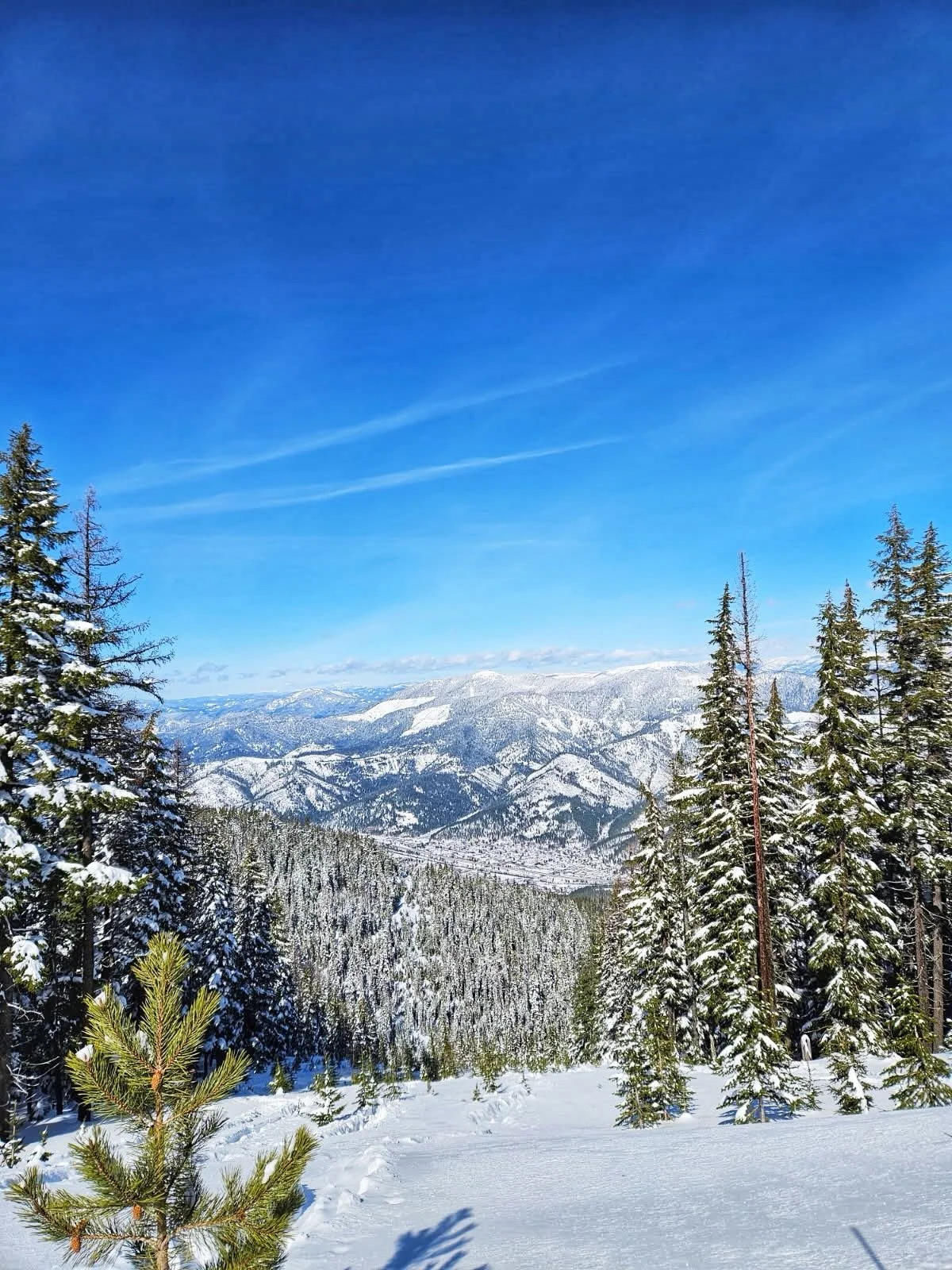 Another awesome day on the mountain!  Best powder of the year so far!